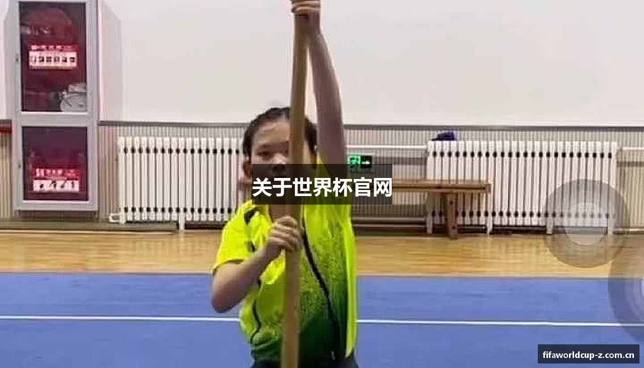 关于世界杯官网